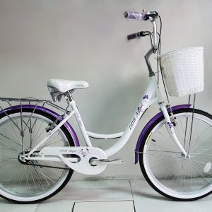 Bicicleta Little Angel aro 24″