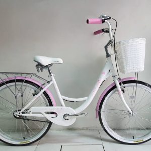 Bicicleta Little Angel aro 24″